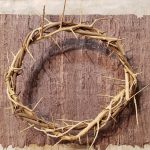 crown of thorns – c9.2400